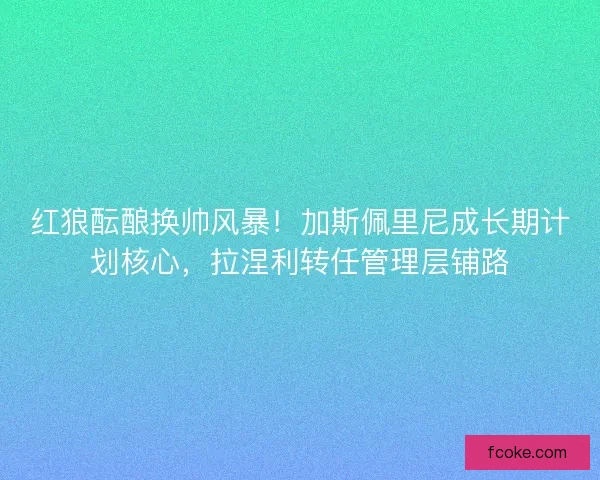 红狼酝酿换帅风暴！加斯佩里尼成长期计划核心，拉涅利转任管理层铺路